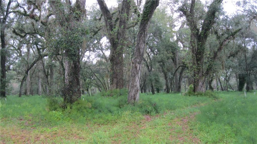 424 New Buckles Road Pierson, FL 32180 - Photo 1 of 1 Gallery Image 1
