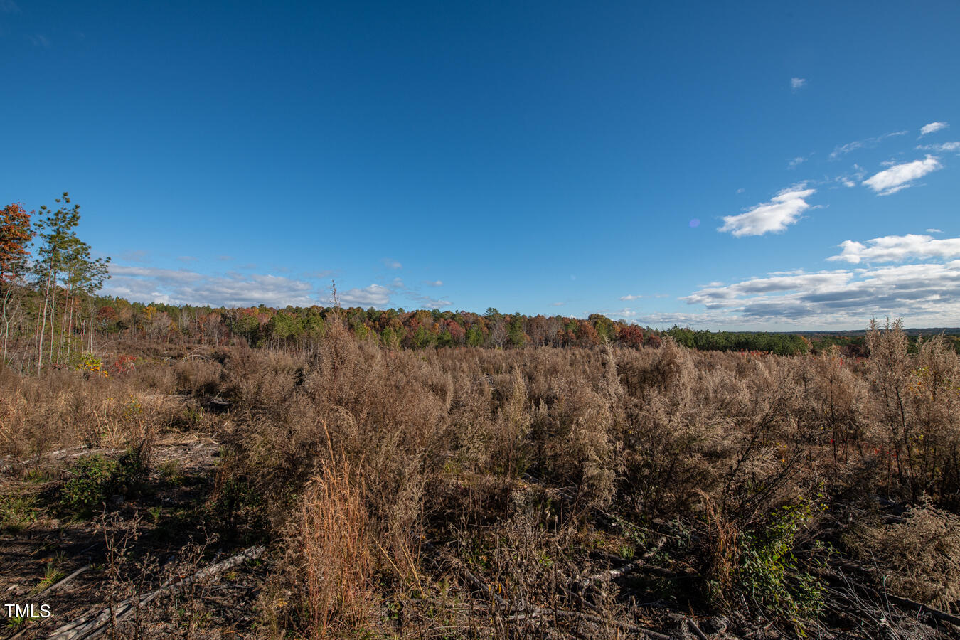 Lot 1 Cole Road Carthage, NC 28327 - Photo 11 of 12 Cleetwood MLS PICS-6253