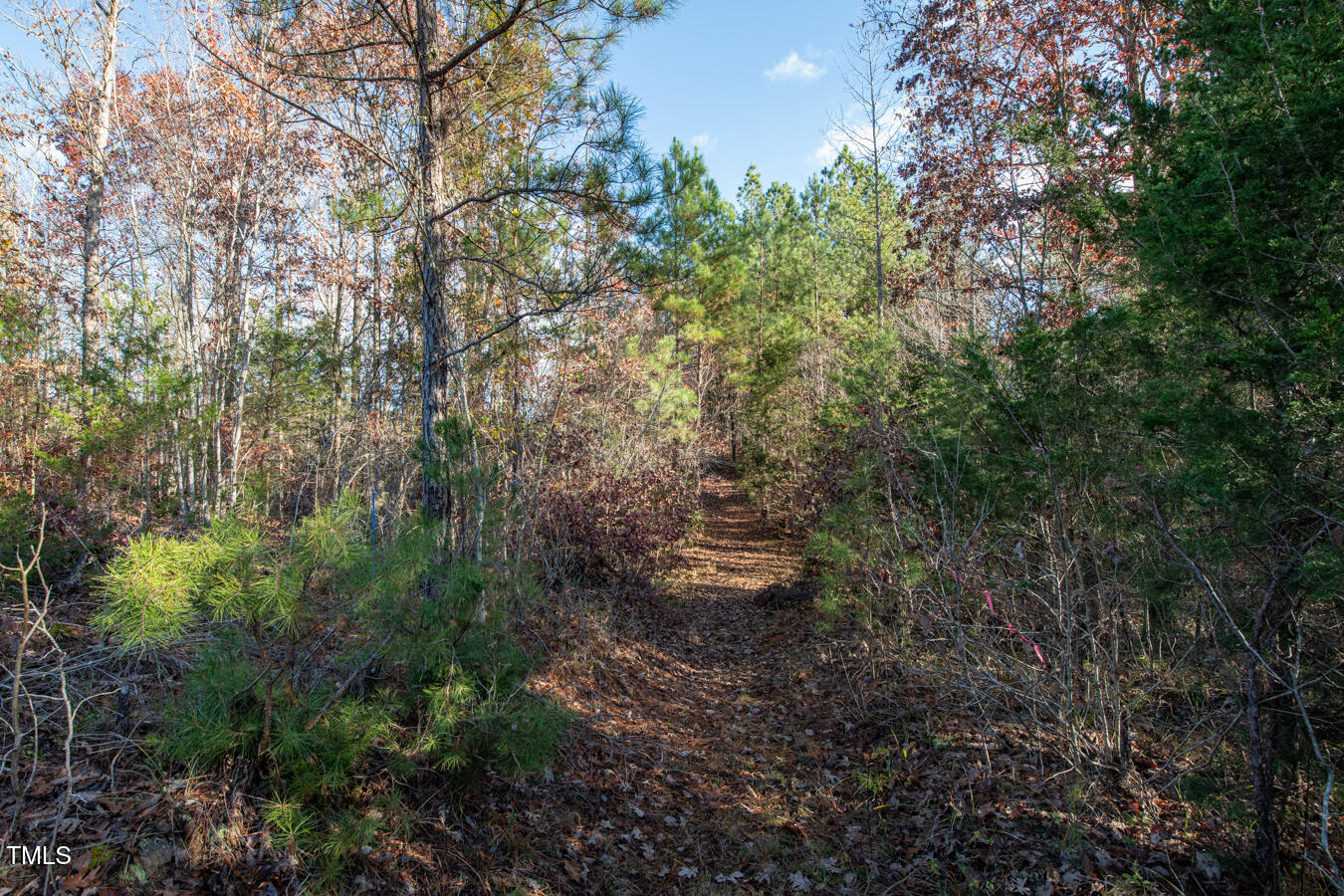 Lot 1 Cole Road Carthage, NC 28327 - Photo 9 of 12 Cleetwood MLS PICS-6213