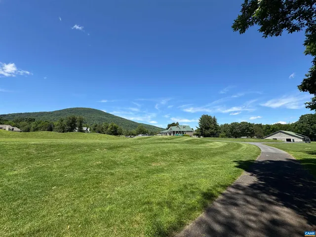 a view of a grassy field with an trees
