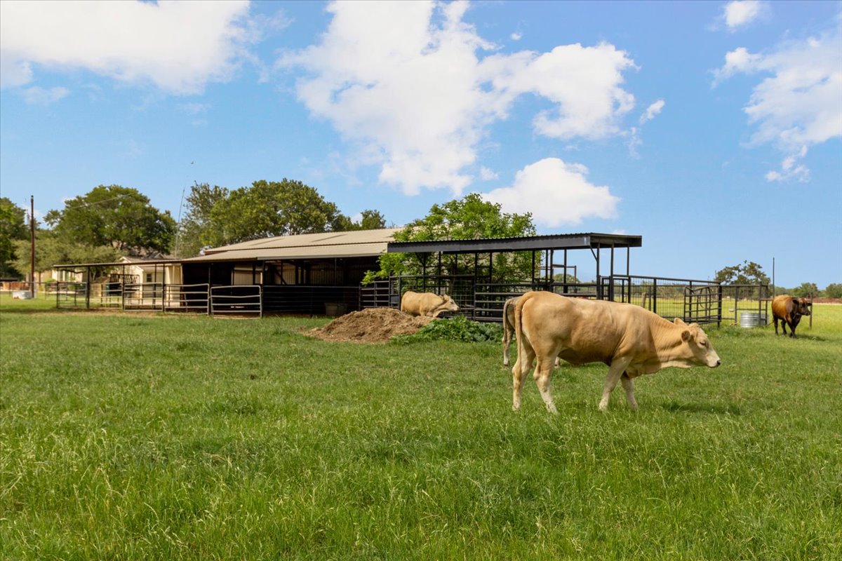 4140 County Road 467 Elgin, TX 78621 - Photo 5 of 40