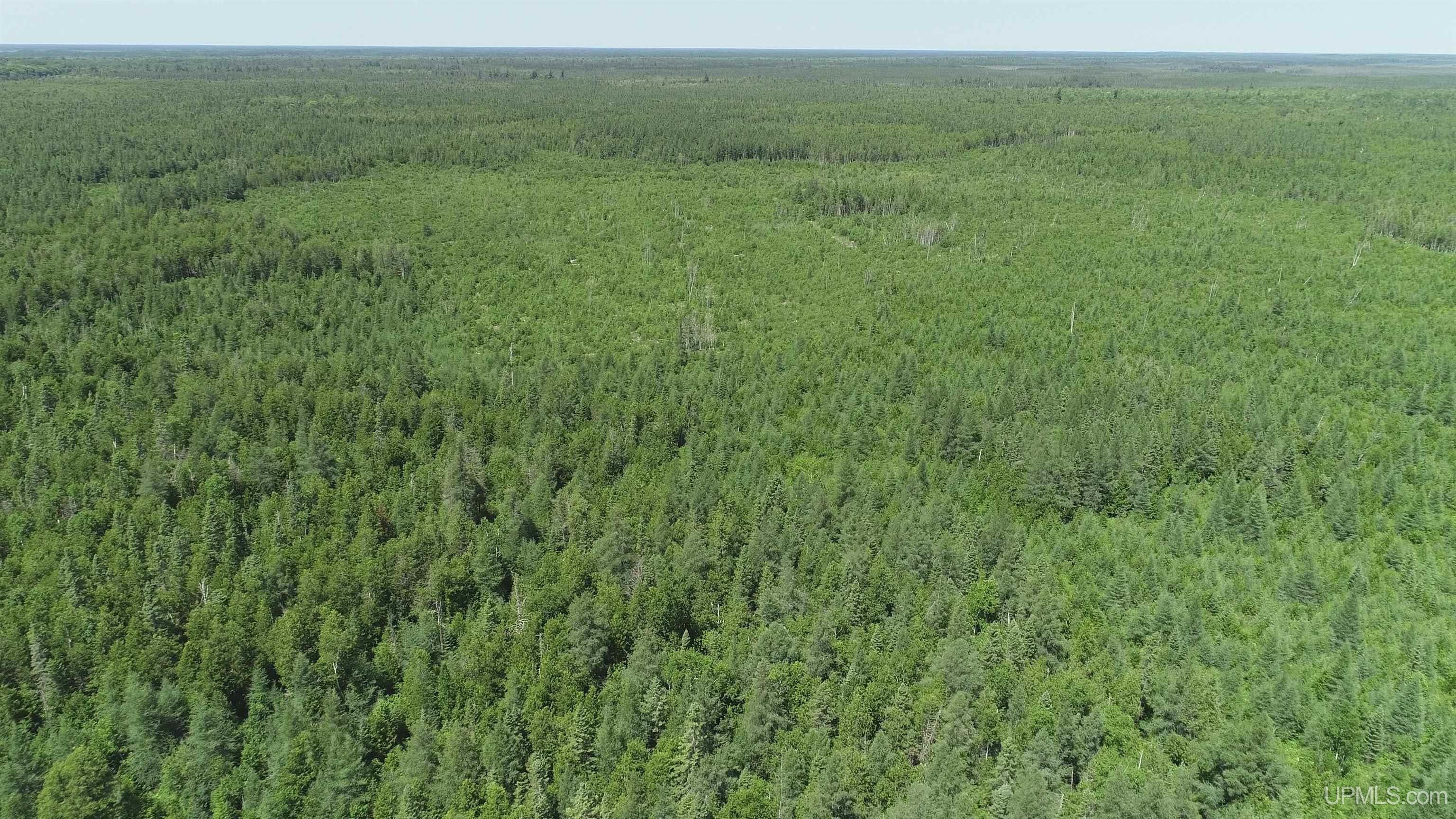 252-acres River Road Gulliver, MI 49840 - Photo 11 of 16 Gallery Image 11