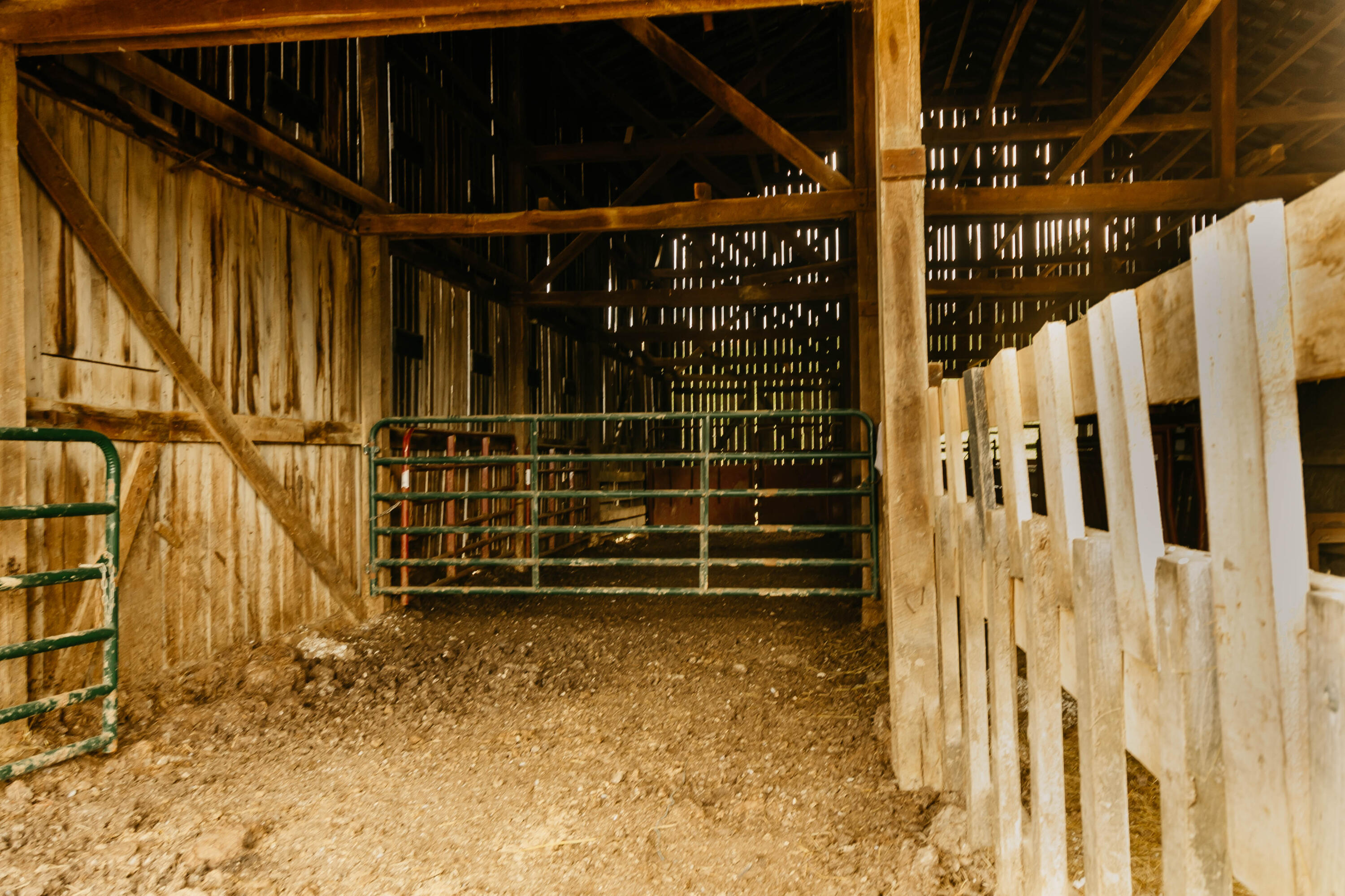 322 Clark Branch Road Campton, KY 41301 - Photo 54 of 63 KRPbw-8236