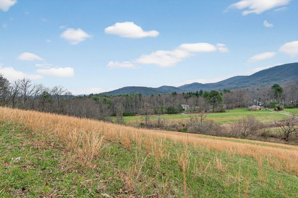 329 Mill Creek Road Chilhowie, VA 24319 - Photo 34 of 58 Gallery Image 34