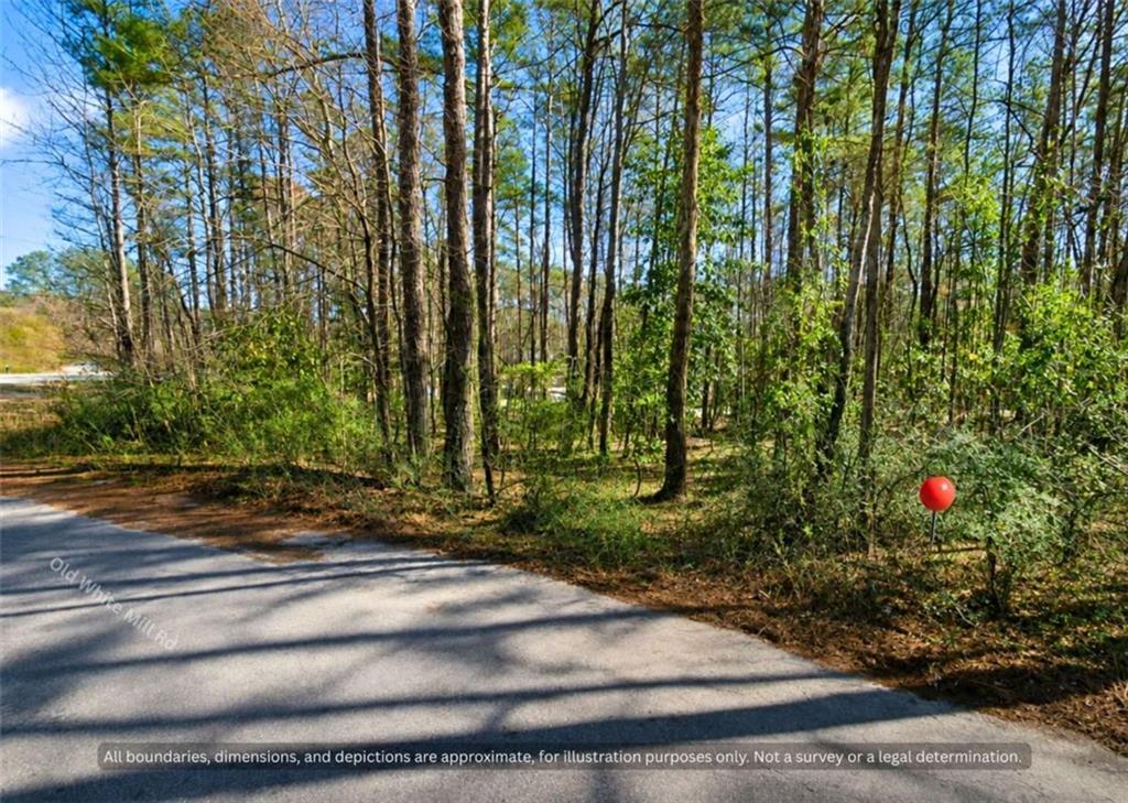 0 Old White Mill Road Fairburn, GA 30213 - Photo 6 of 7 Gallery Image 6