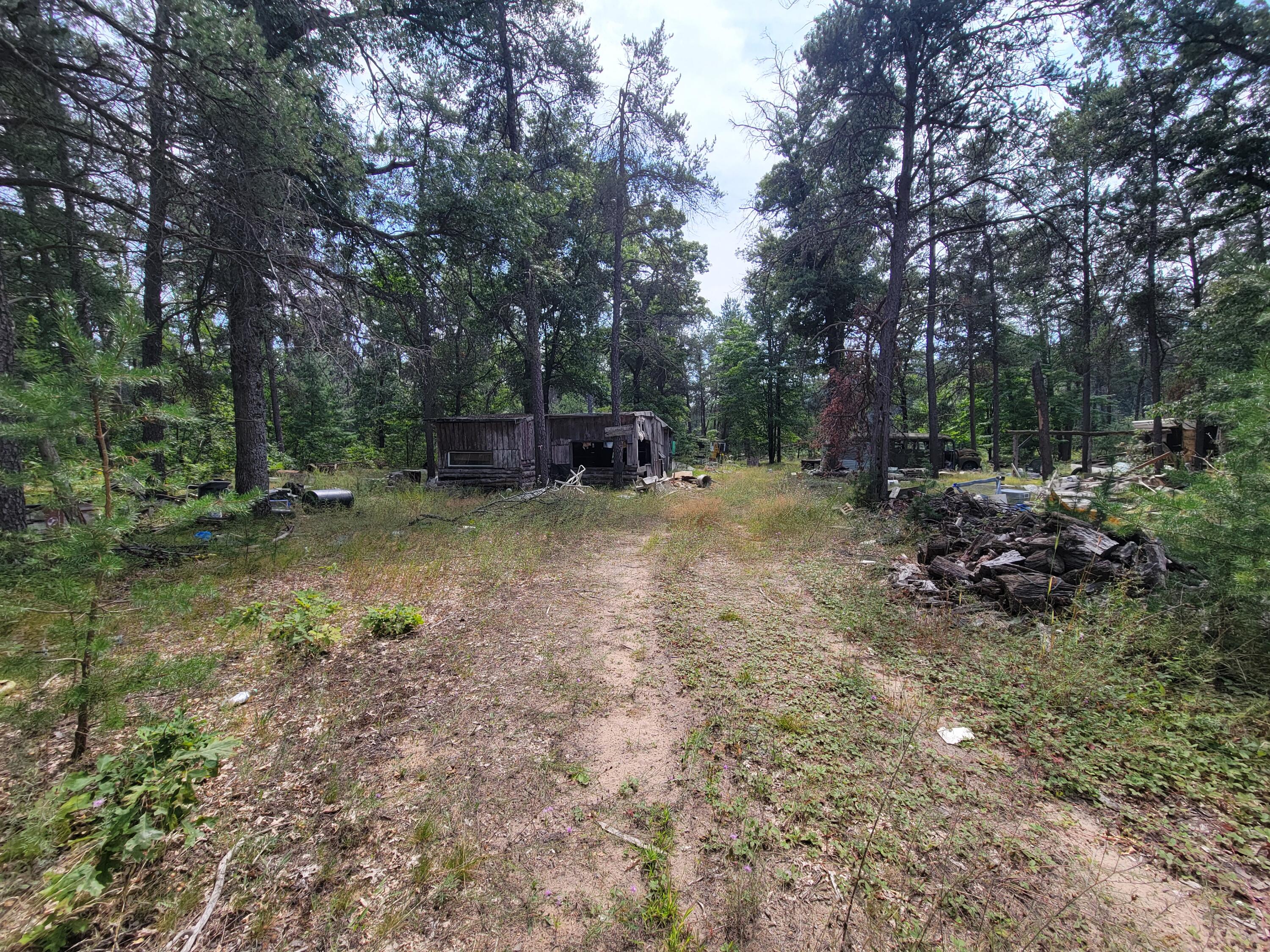8661 Fir Road Harrison, MI 48625 - Photo 8 of 9 8661 Fir 2