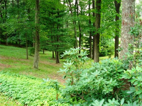 40 Woodsley Road Longmeadow, MA 01106 - Photo 2 of 16 a garden view