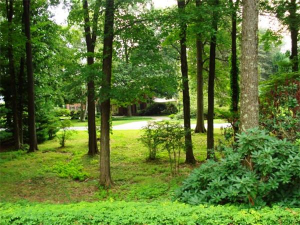 40 Woodsley Road Longmeadow, MA 01106 - Photo 3 of 16 a view of yard