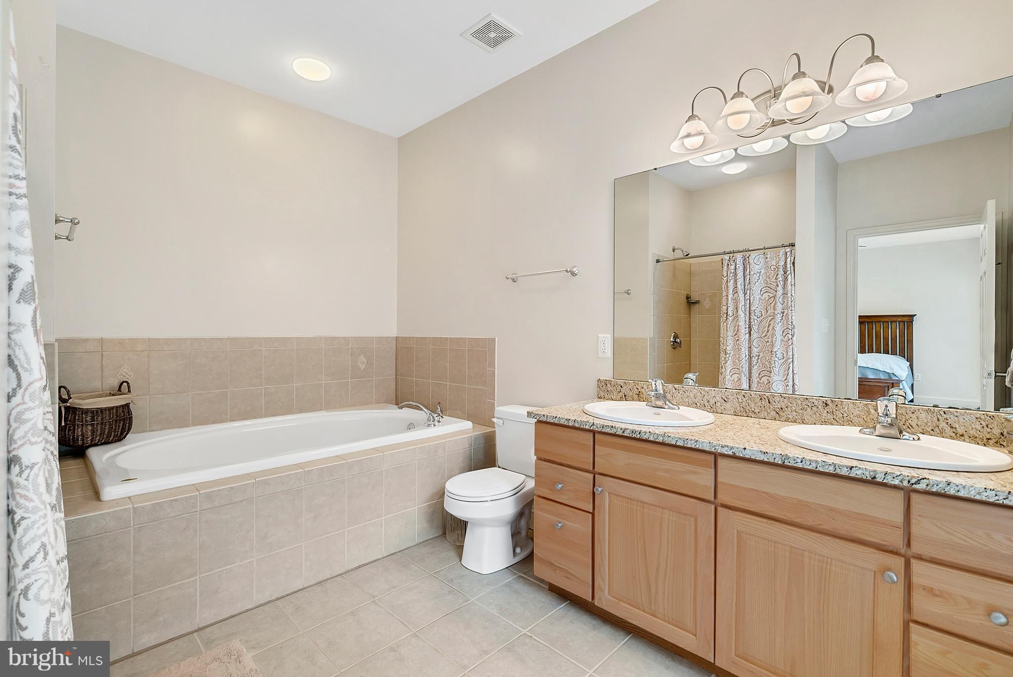 14303 Reva Road Reva, VA 22735 - Photo 16 of 25 a bathroom with a tub a sink and mirror