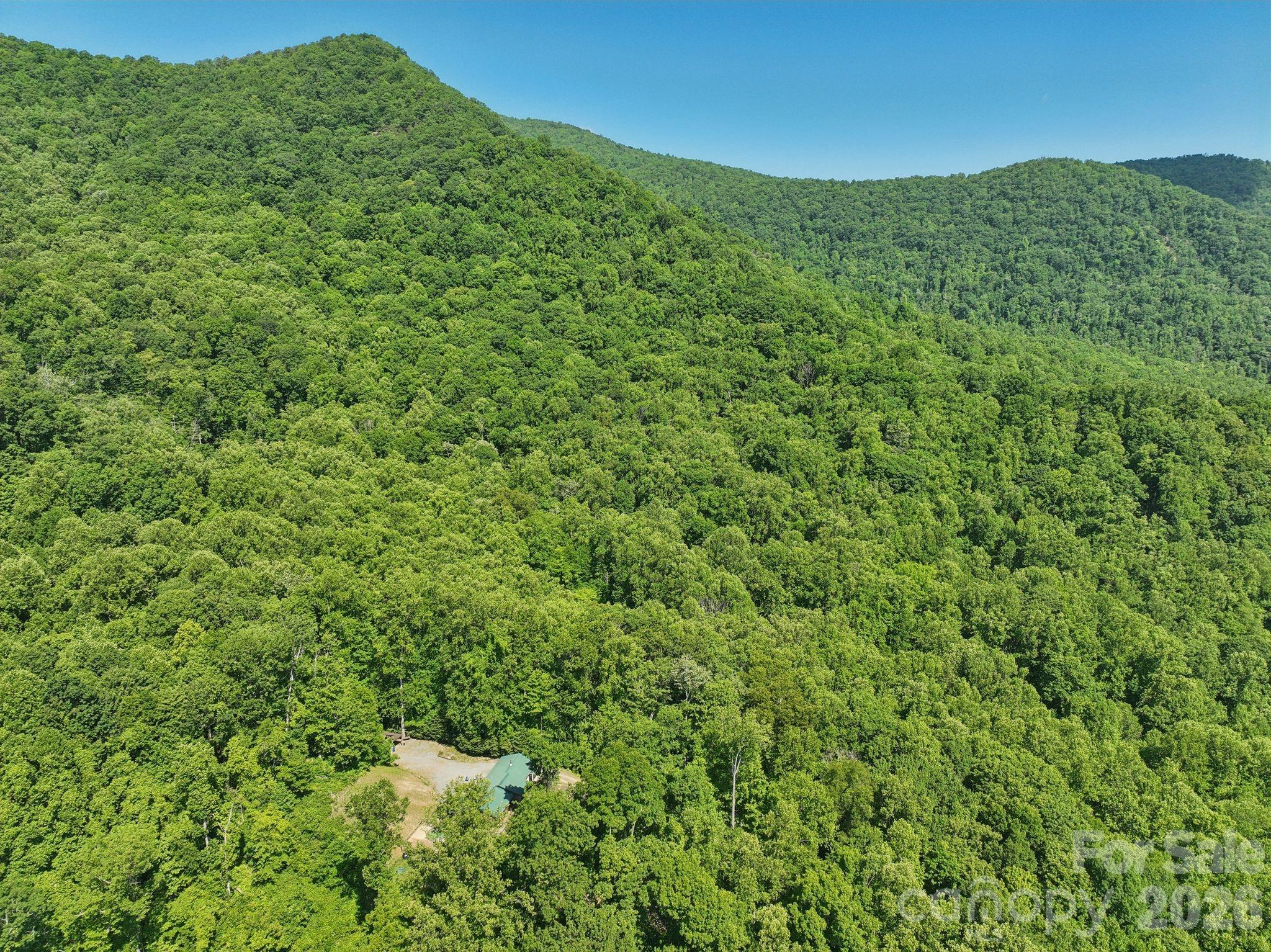 89 Apgar Road Candler, NC 28715 - Photo 30 of 37