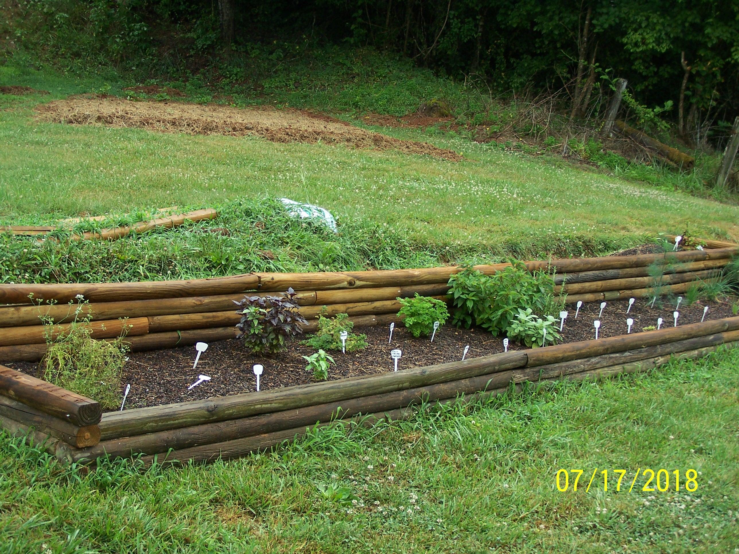 10173 Mulberry Gap Road Tazewell, TN 37879 - Photo 15 of 33 100_8719