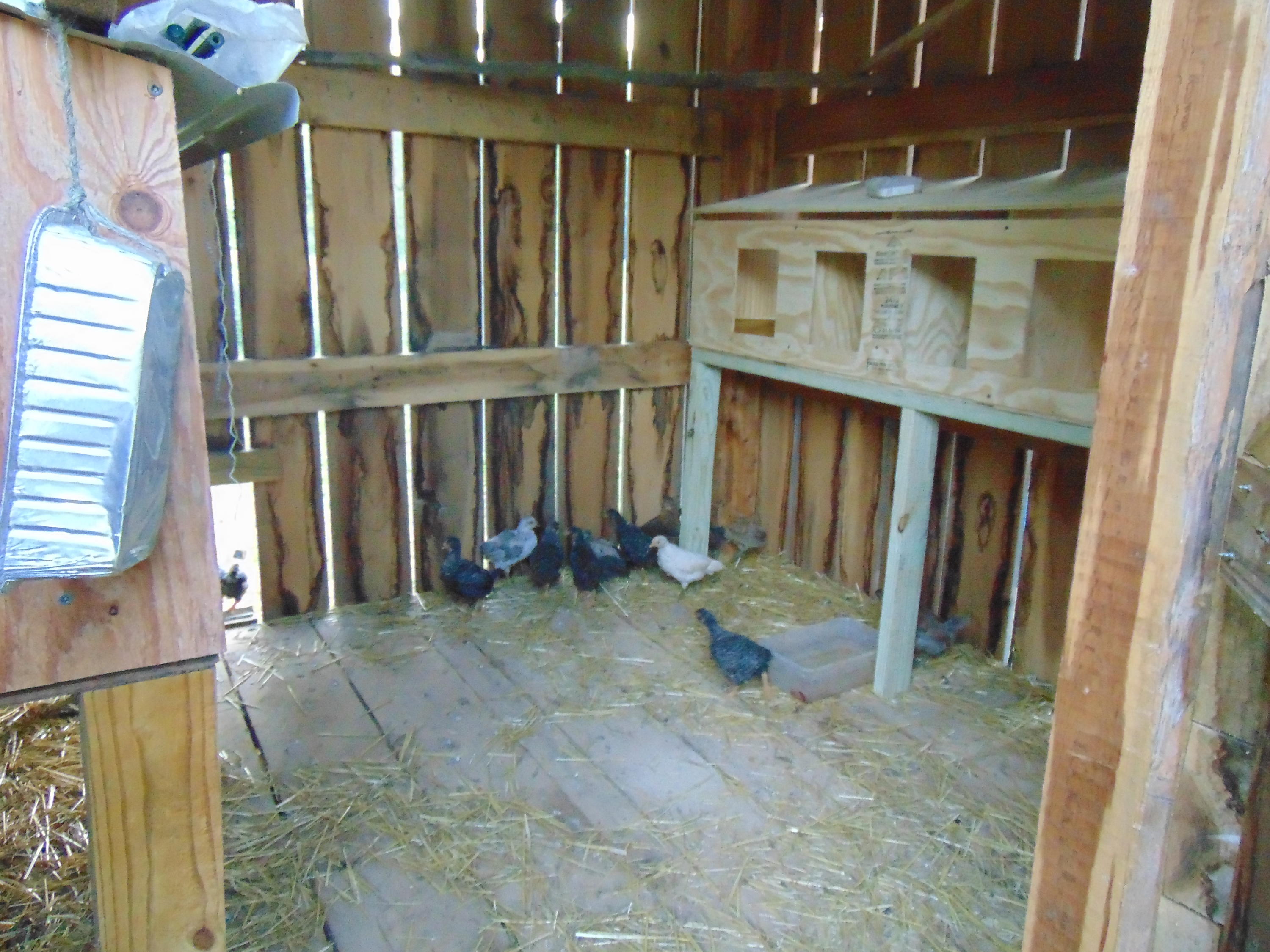 10173 Mulberry Gap Road Tazewell, TN 37879 - Photo 16 of 33 DSC01021