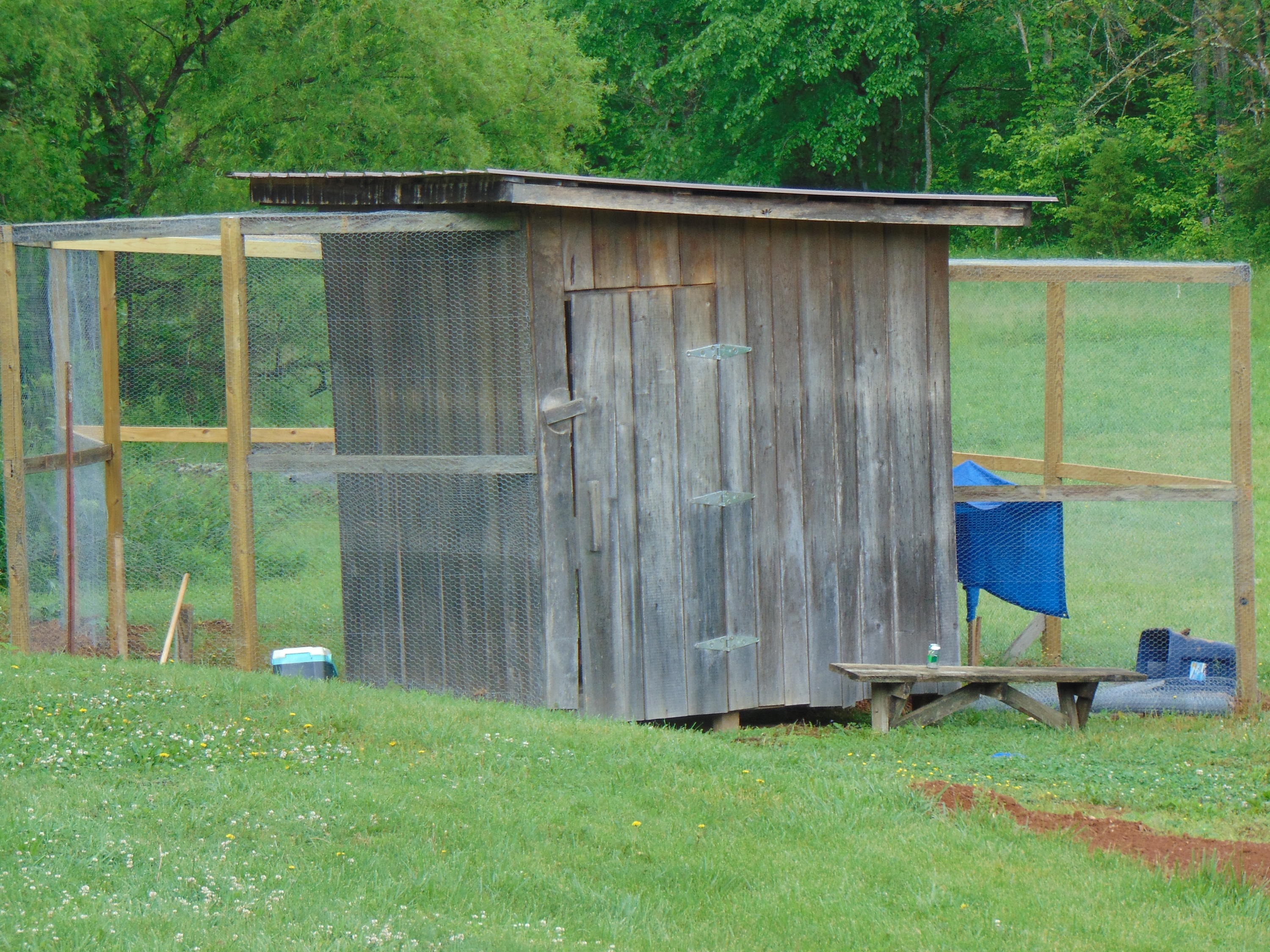 10173 Mulberry Gap Road Tazewell, TN 37879 - Photo 17 of 33 DSC00982