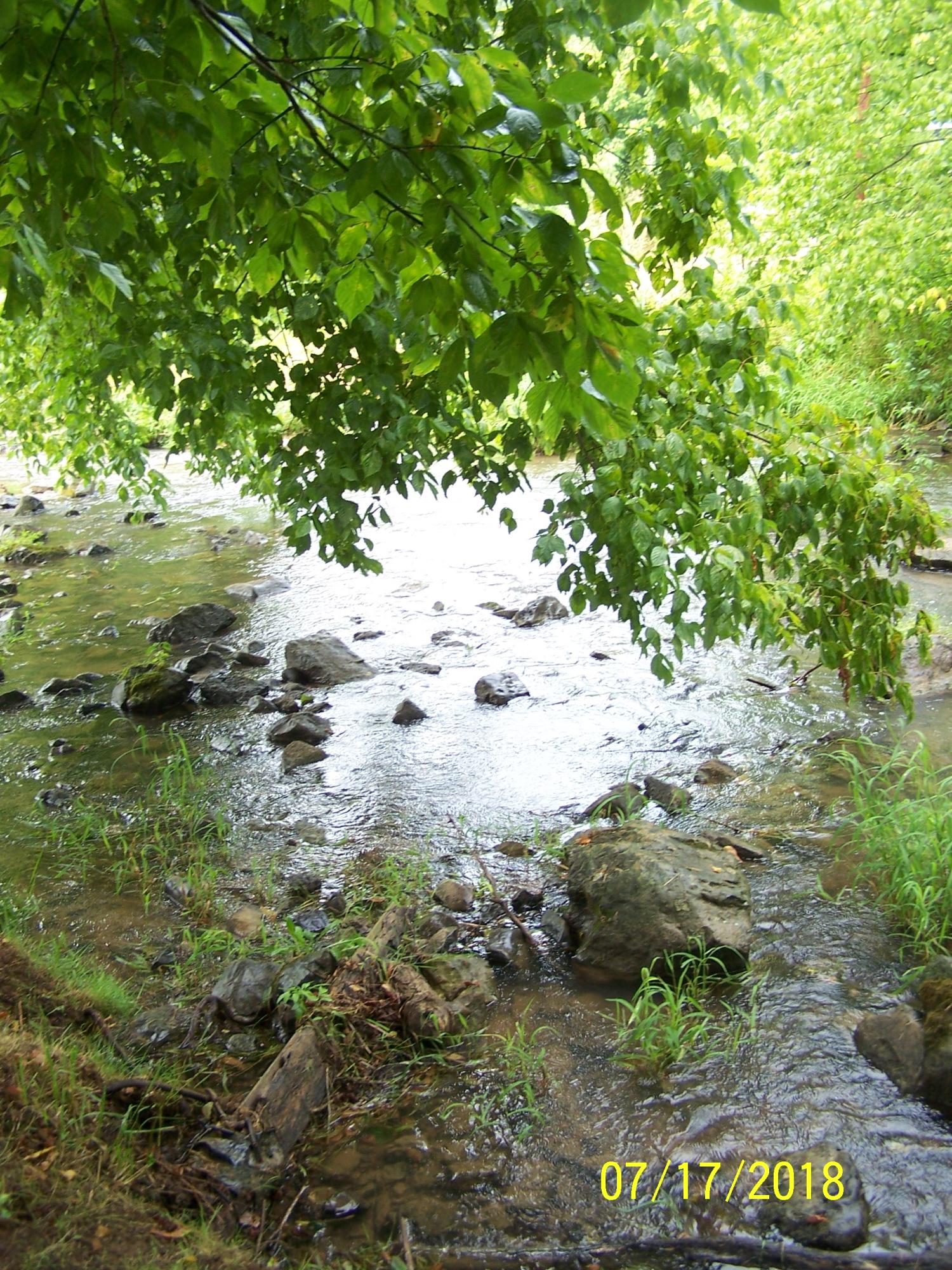 10173 Mulberry Gap Road Tazewell, TN 37879 - Photo 18 of 33 100_8741