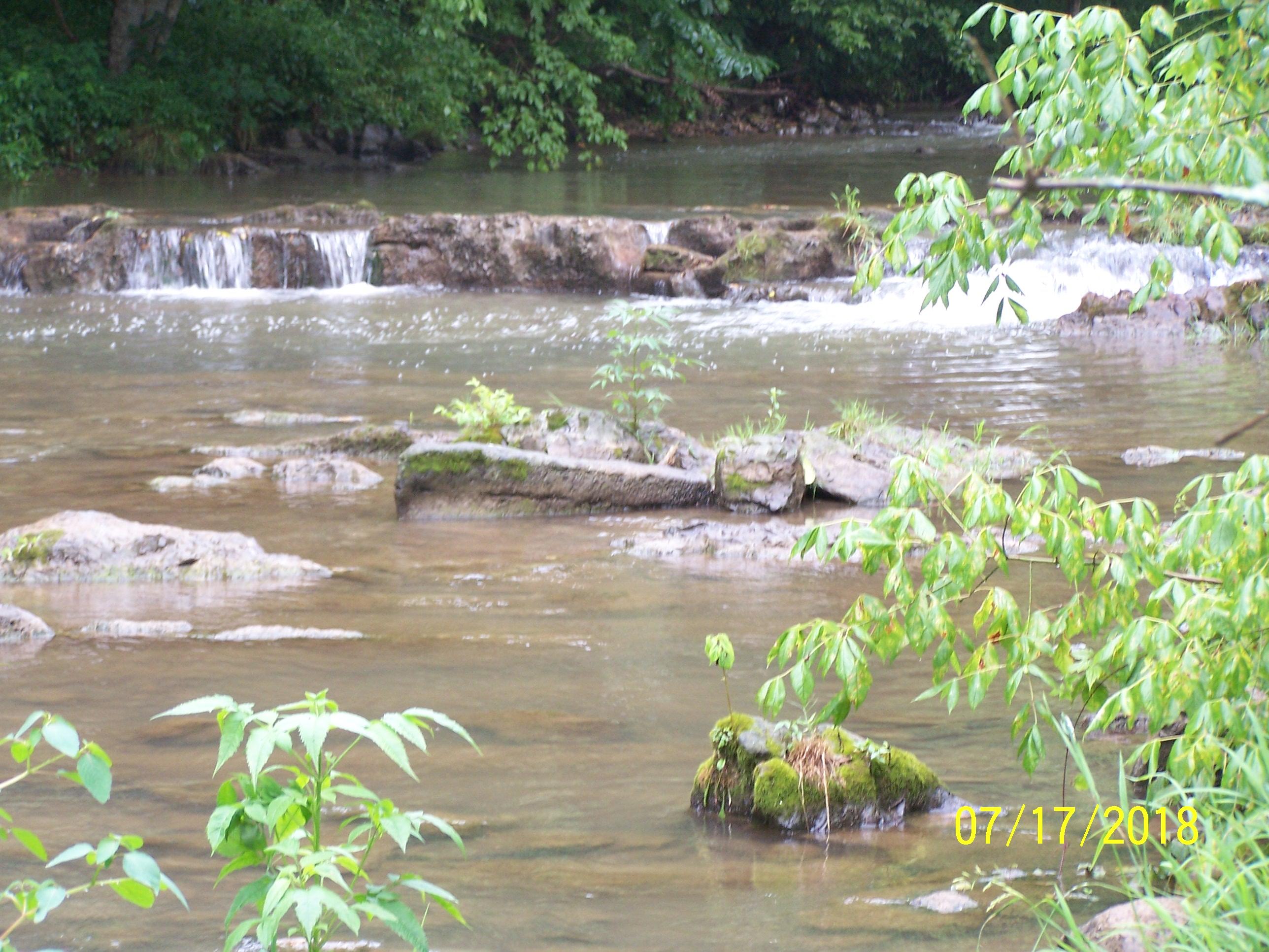 10173 Mulberry Gap Road Tazewell, TN 37879 - Photo 19 of 33 100_8733