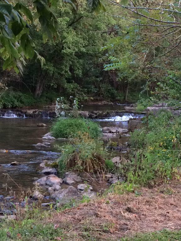 10173 Mulberry Gap Road Tazewell, TN 37879 - Photo 20 of 33 NH3