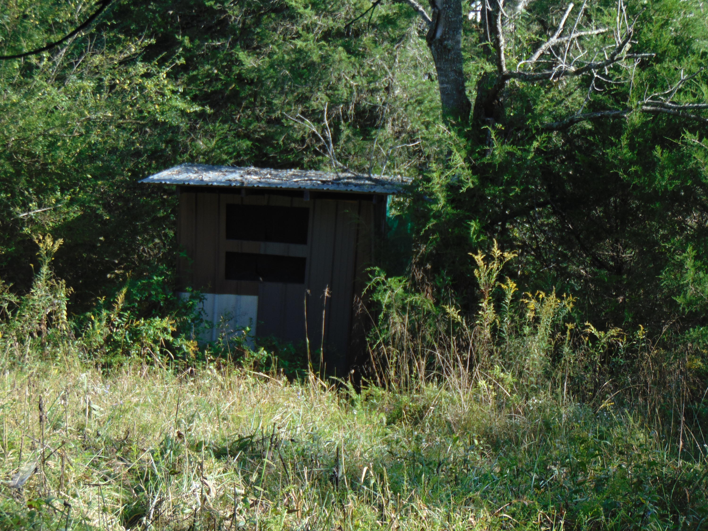 10173 Mulberry Gap Road Tazewell, TN 37879 - Photo 24 of 33 DSC01232