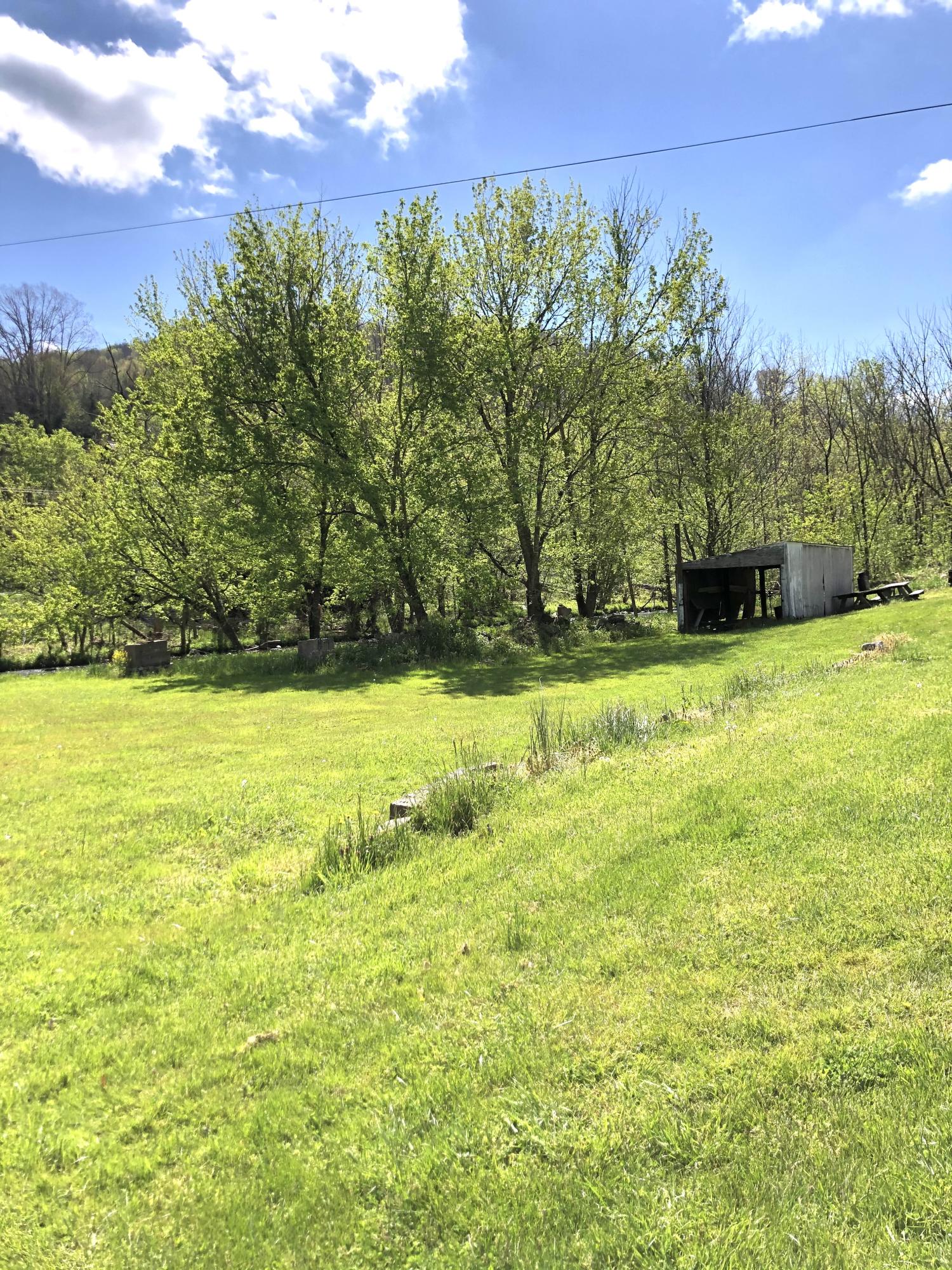 10173 Mulberry Gap Road Tazewell, TN 37879 - Photo 29 of 33 IMG_9386