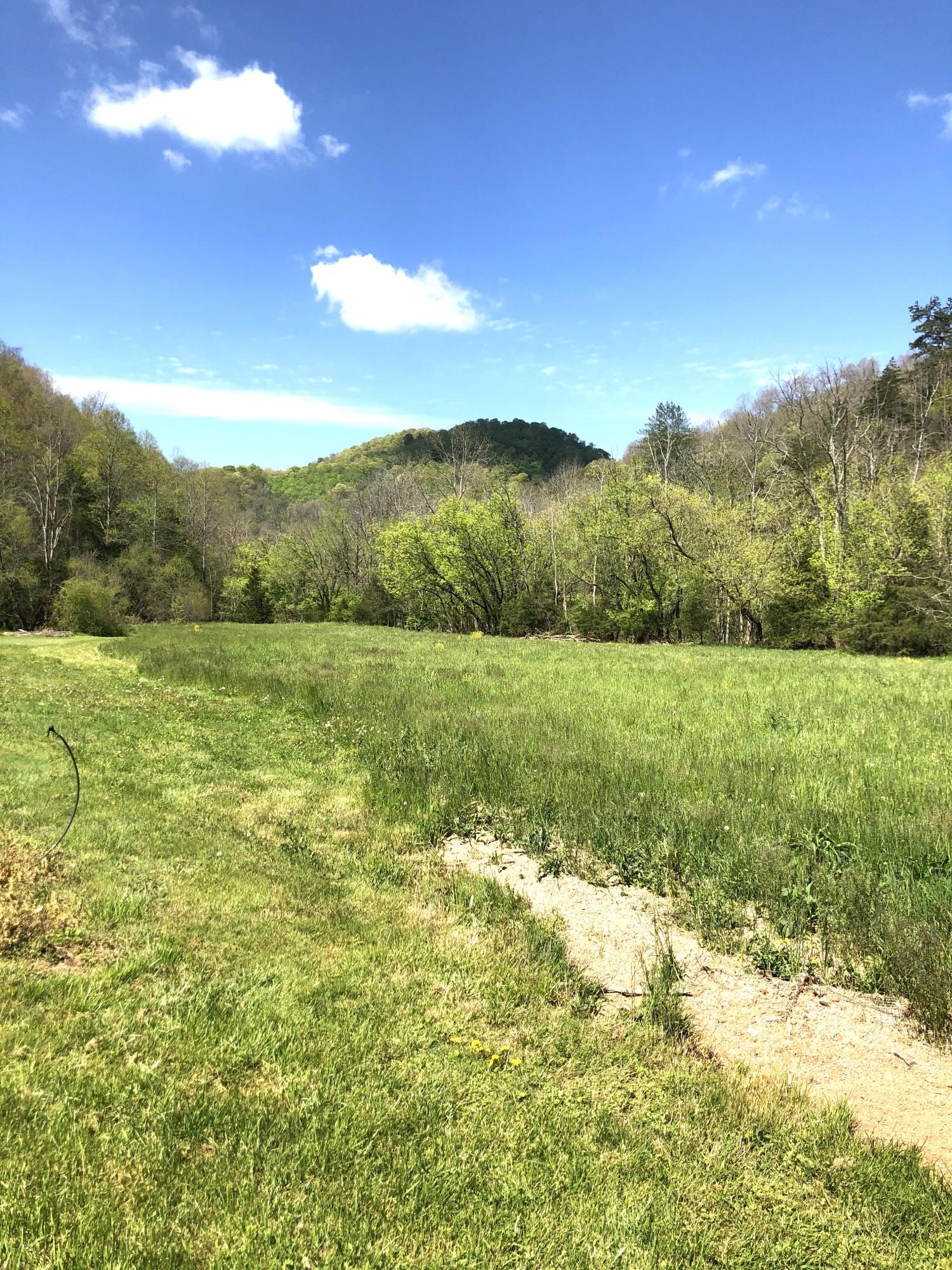 10173 Mulberry Gap Road Tazewell, TN 37879 - Photo 31 of 33 IMG_9383