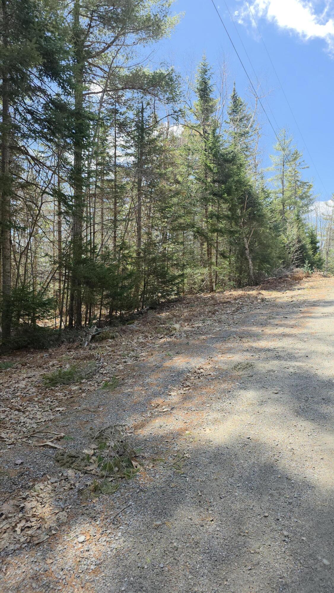 Lot 011-13 Benner Road Liberty, ME 04949 - Photo 6 of 17 20250417_121246
