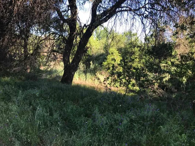 $495,000 | 1224 Impressionist Loop, Roseville, CA 95747