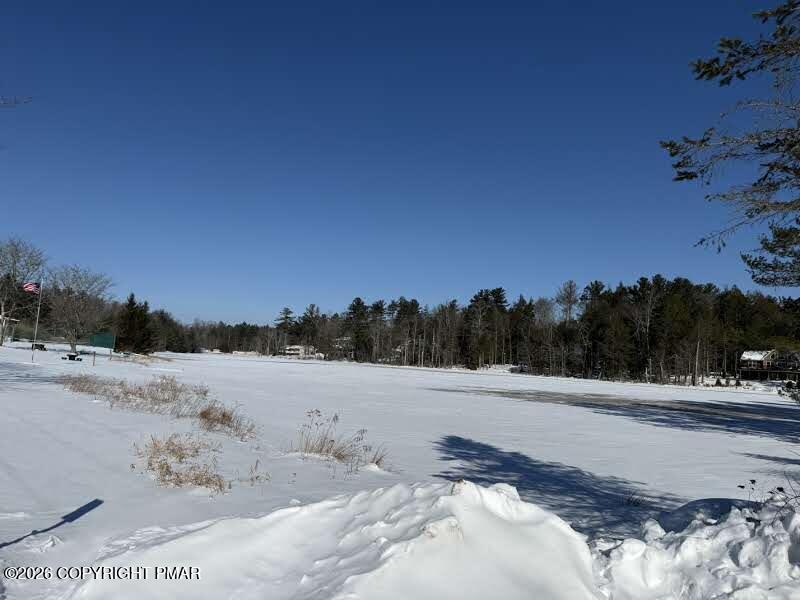 102 King Arthur Road Pocono Lake, PA 18347 - Photo 54 of 59 IMG_20260204_112244