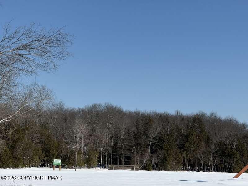 102 King Arthur Road Pocono Lake, PA 18347 - Photo 55 of 59 IMG_20260204_112242