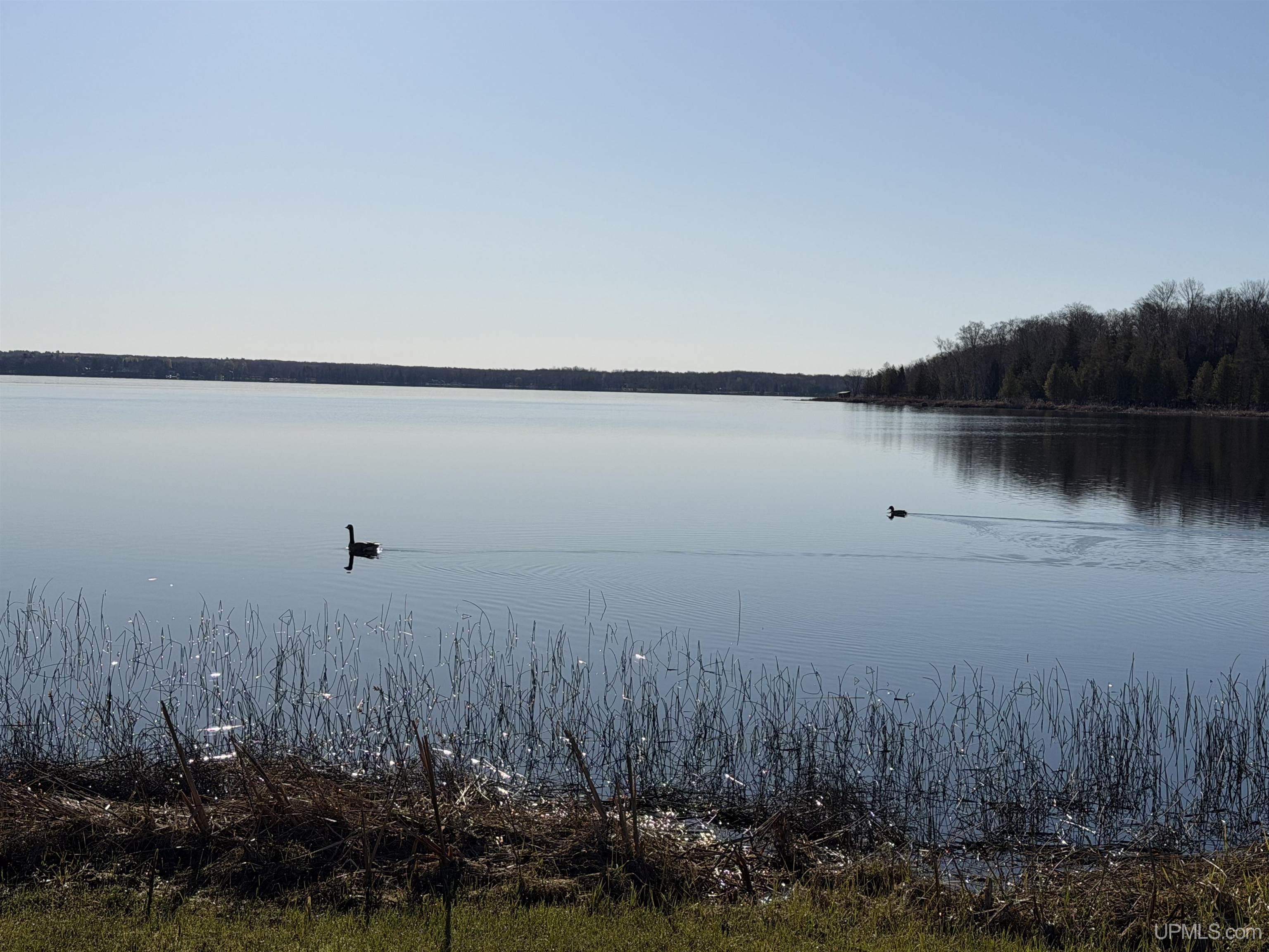 Tbd Long Point Road Germfask, MI 49836 - Photo 12 of 24