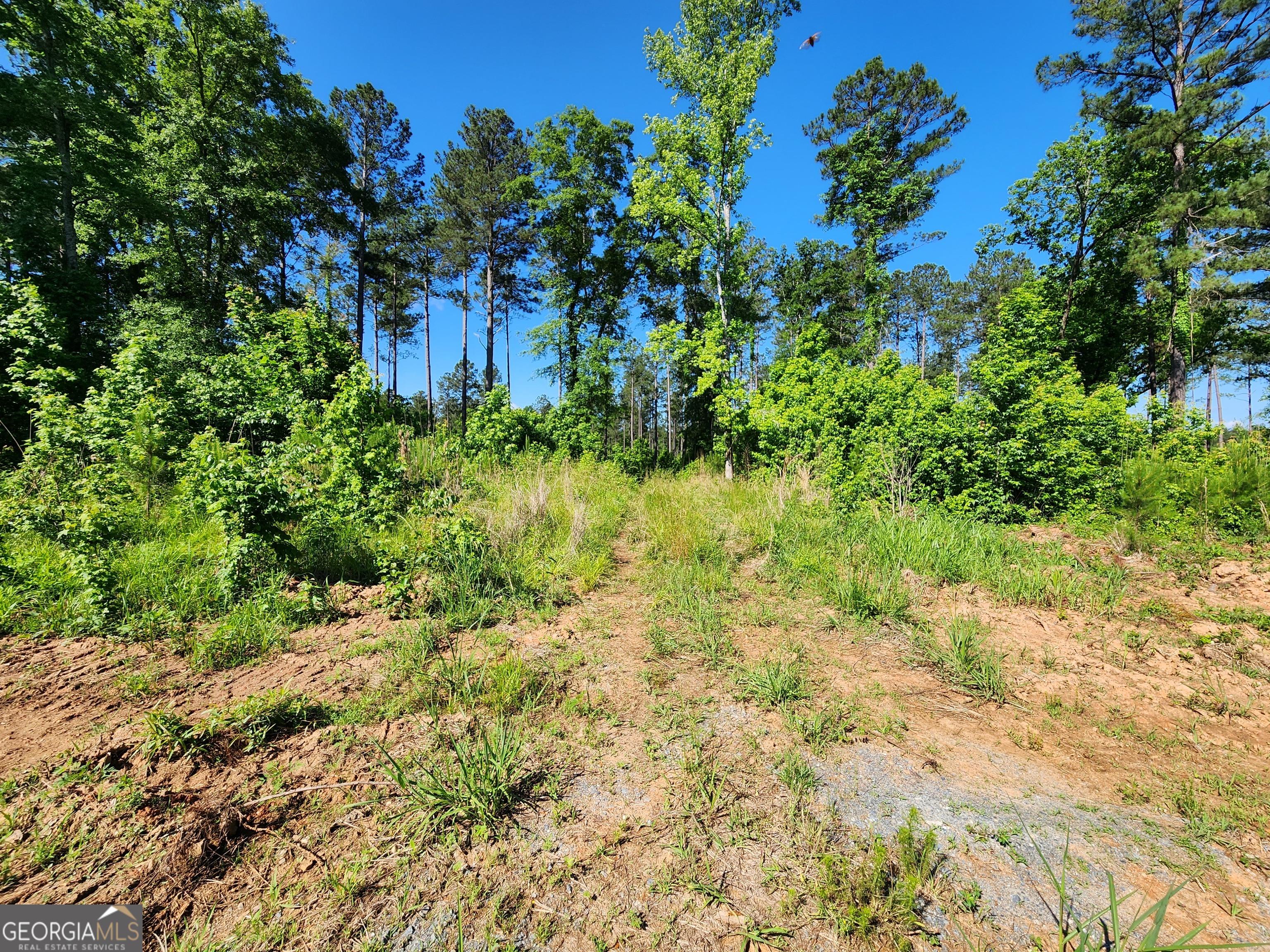 775 Stallings Road Haddock, GA 31033 - Photo 1 of 1 Gallery Image 1