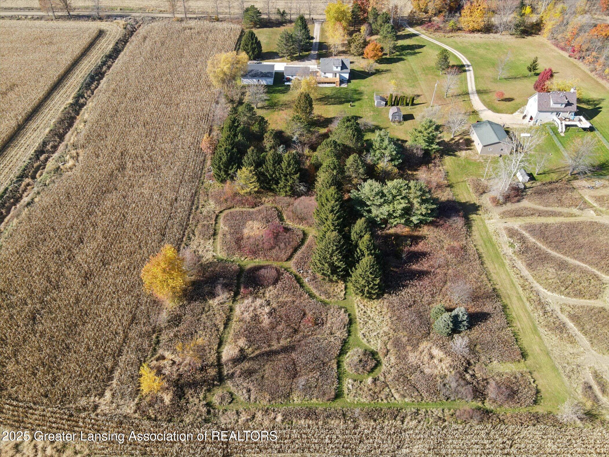 1325 South Watson Road St. Johns, MI 48879 - Photo 57 of 65 Aerial