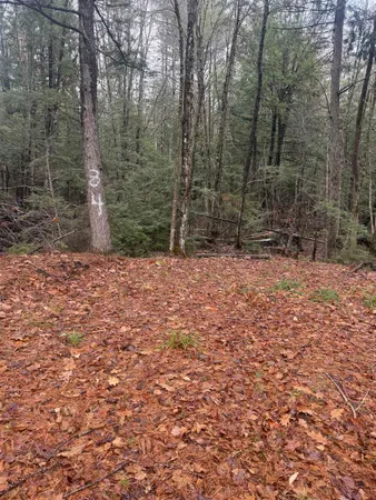 $225,000 | 0 Partridge Hill Road, Unit 84, Sandwich, NH 03227