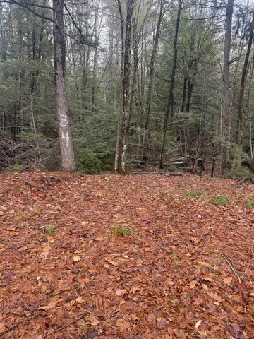 $225,000 | 0 Partridge Hill Road, Unit 84, Sandwich, NH 03227