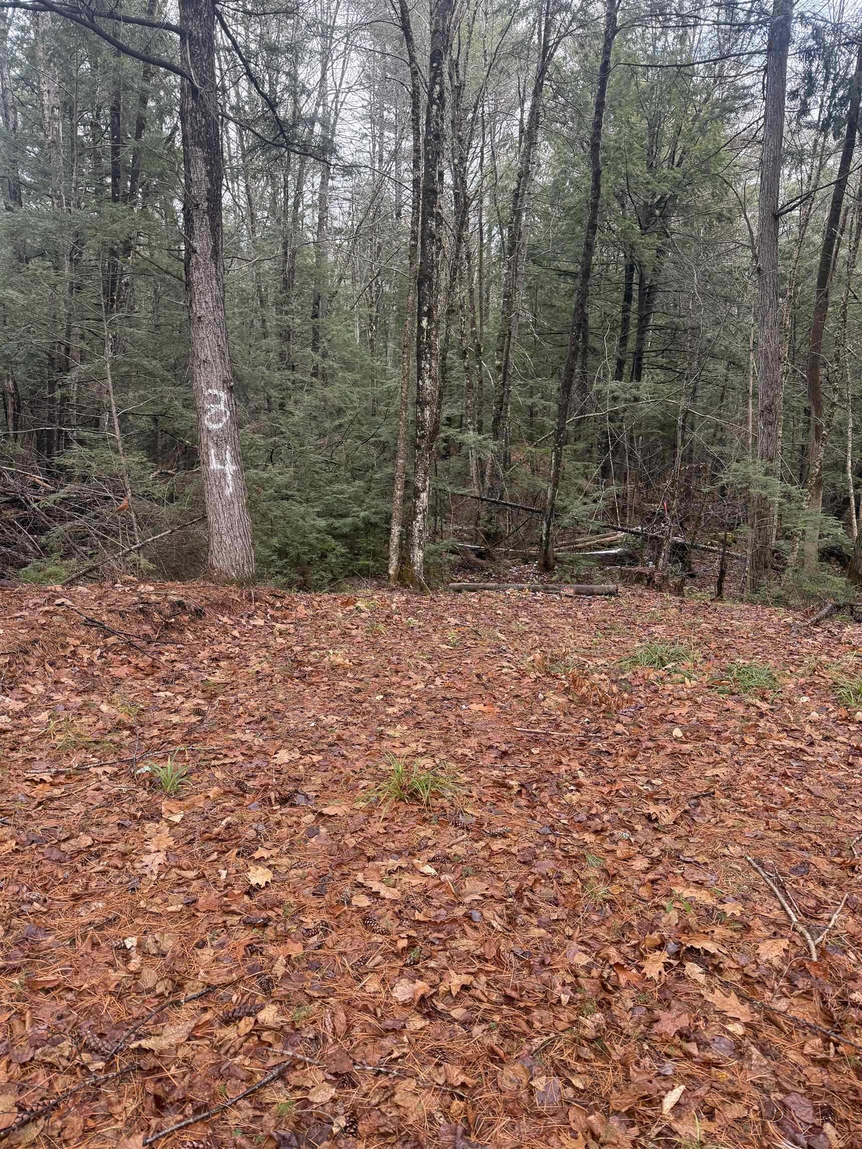 0 Partridge Hill Road, Unit 84 Sandwich, NH 03227 - Photo 2 of 6