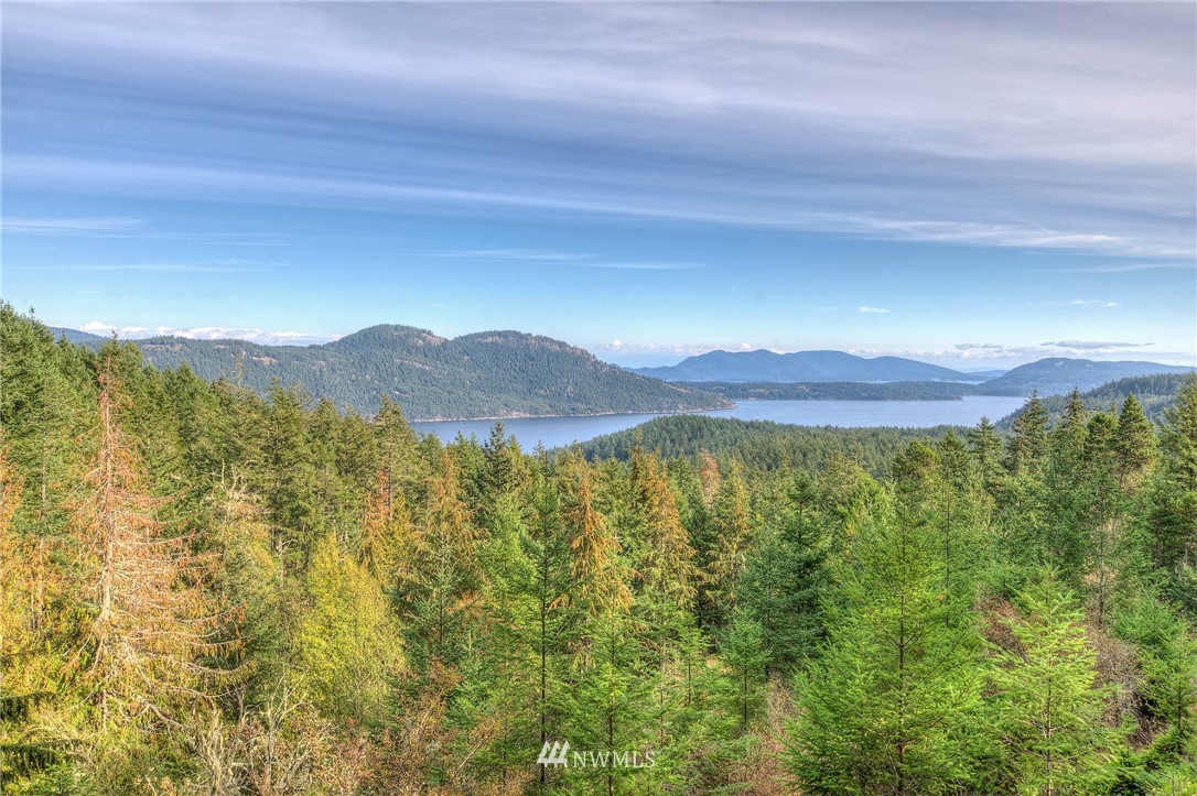 811 Spring Hill Road Orcas Island, WA 98245 - Photo 1 of 20 Gallery Image 1