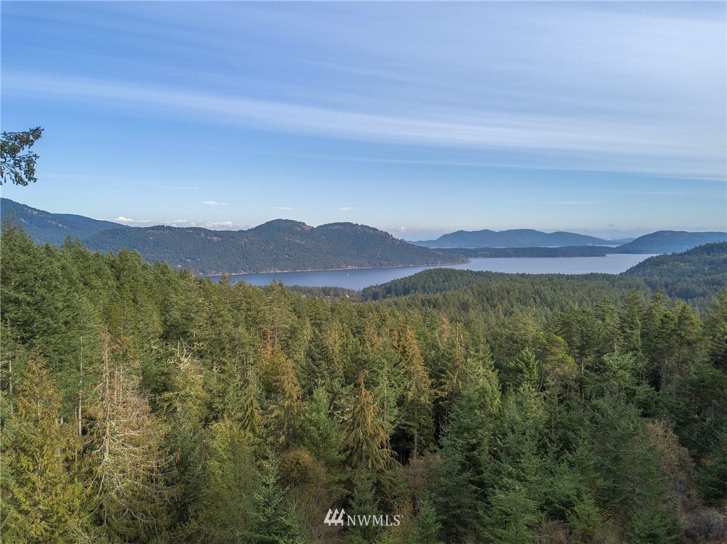 811 Spring Hill Road Orcas Island, WA 98245 - Photo 2 of 20 Gallery Image 2