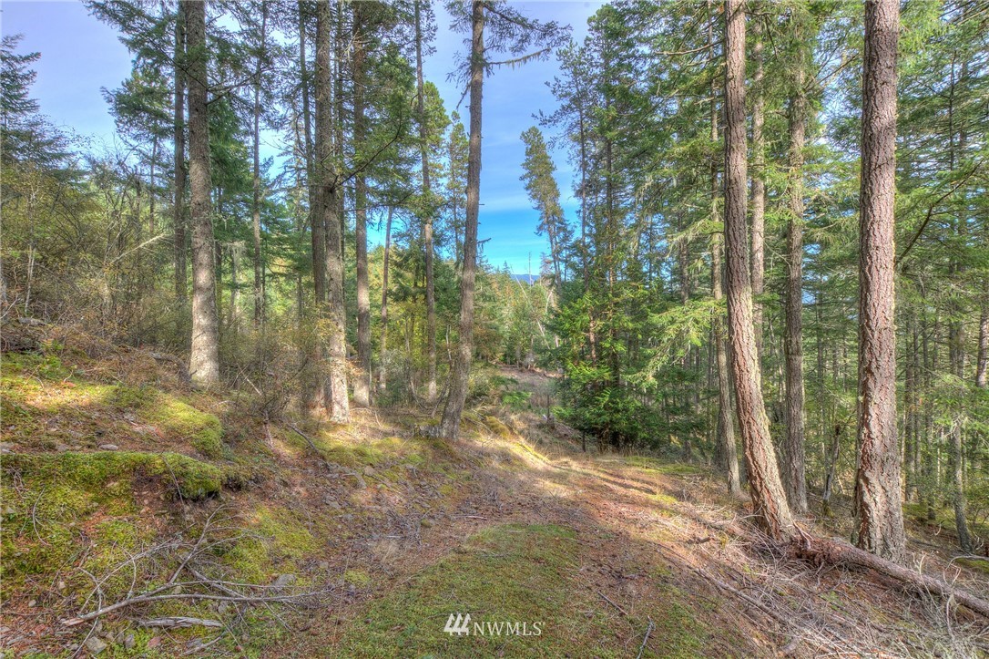 811 Spring Hill Road Orcas Island, WA 98245 - Photo 12 of 20 Gallery Image 12