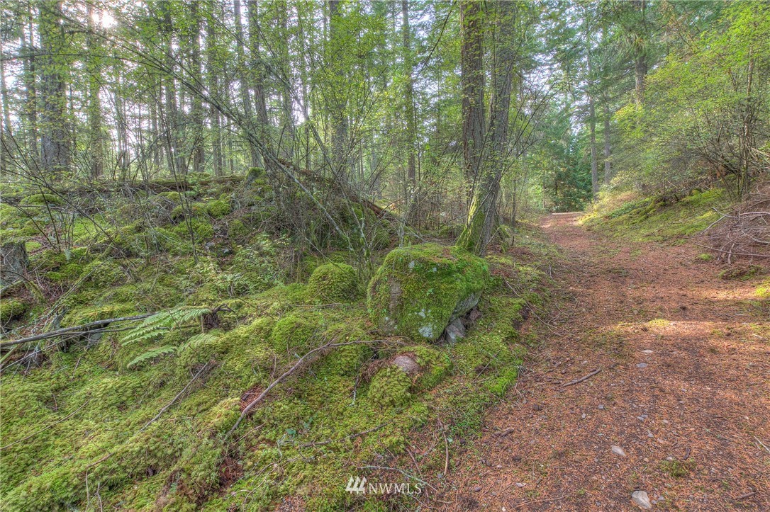 811 Spring Hill Road Orcas Island, WA 98245 - Photo 13 of 20 Gallery Image 13
