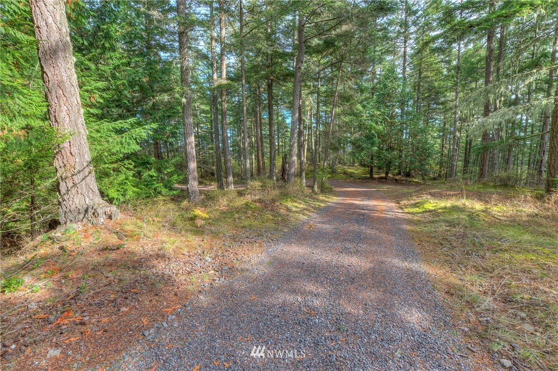 811 Spring Hill Road Orcas Island, WA 98245 - Photo 14 of 20 Gallery Image 14