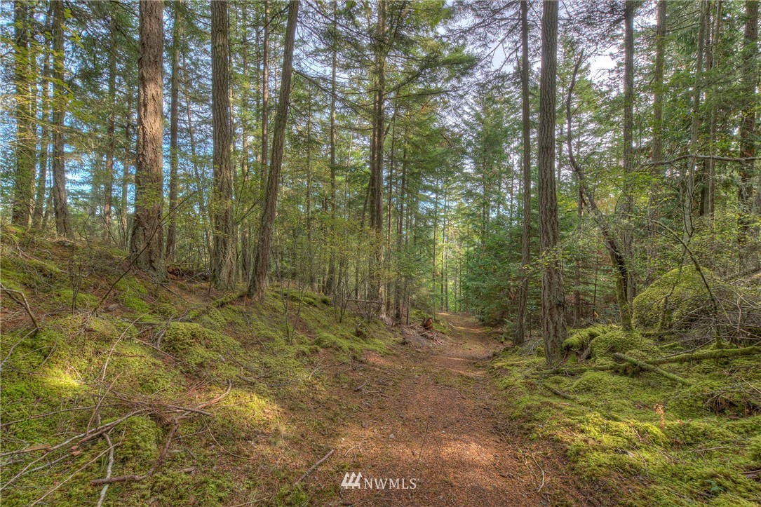 811 Spring Hill Road Orcas Island, WA 98245 - Photo 15 of 20 Gallery Image 15