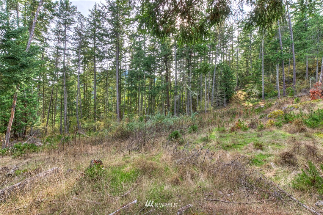 811 Spring Hill Road Orcas Island, WA 98245 - Photo 16 of 20 Gallery Image 16