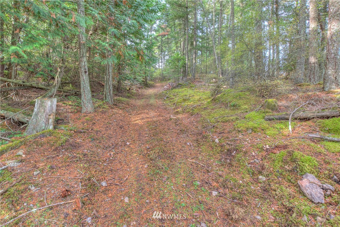 811 Spring Hill Road Orcas Island, WA 98245 - Photo 17 of 20 Gallery Image 17