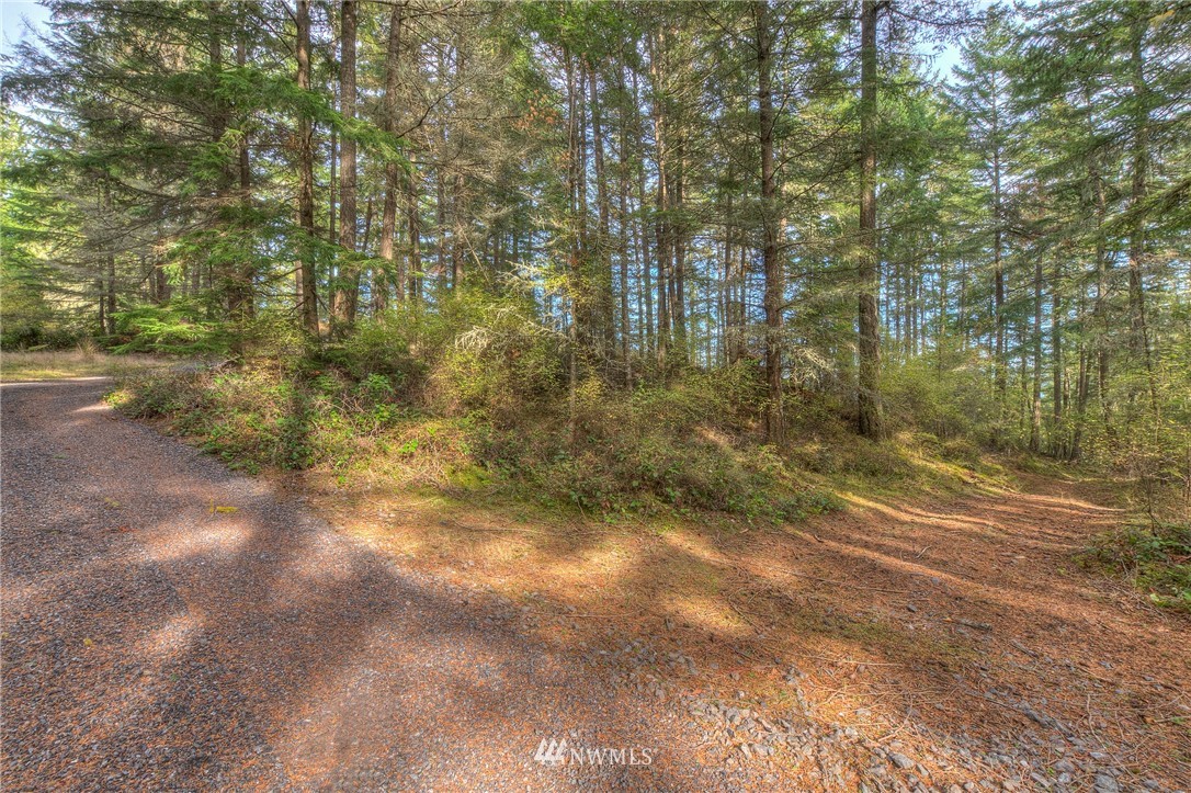 811 Spring Hill Road Orcas Island, WA 98245 - Photo 19 of 20 Gallery Image 19