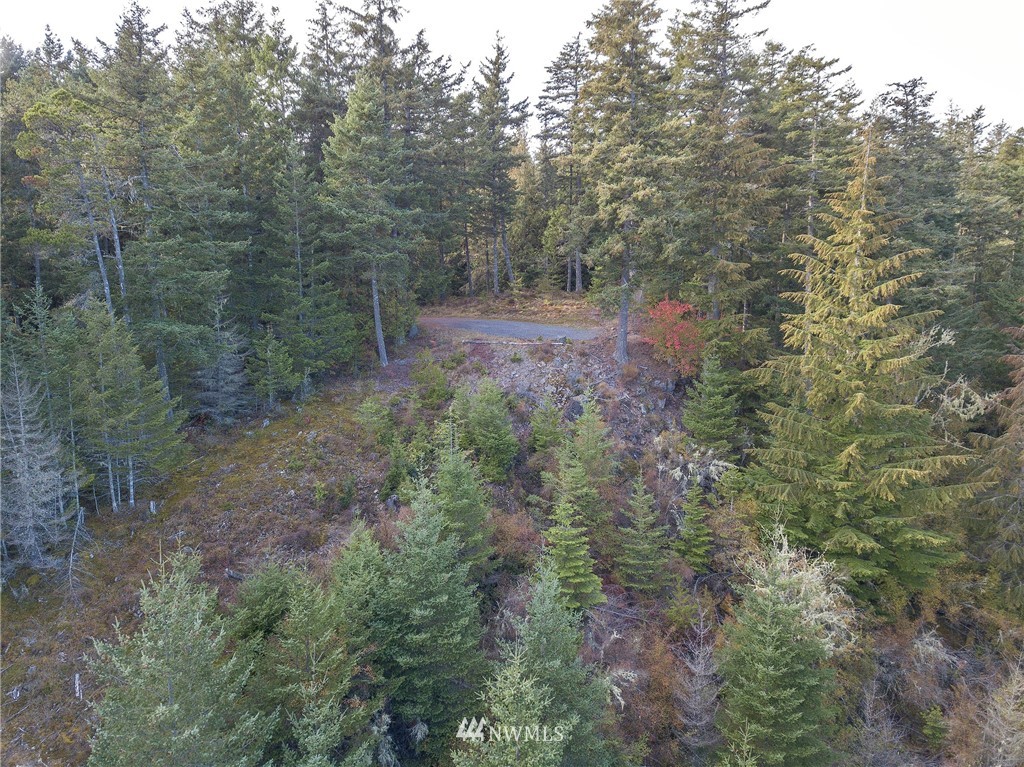 811 Spring Hill Road Orcas Island, WA 98245 - Photo 20 of 20 Gallery Image 20