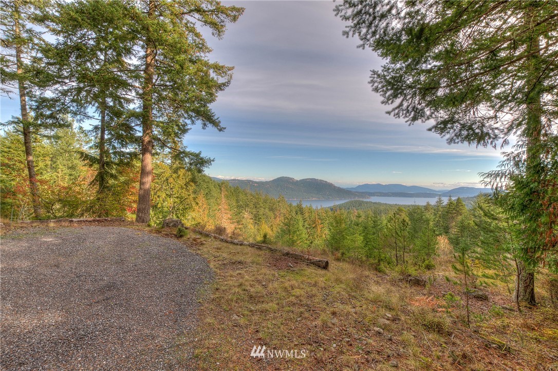 811 Spring Hill Road Orcas Island, WA 98245 - Photo 3 of 20 Gallery Image 3