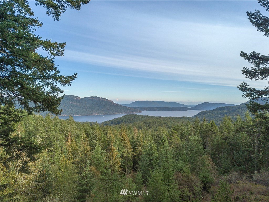 811 Spring Hill Road Orcas Island, WA 98245 - Photo 4 of 20 Gallery Image 4