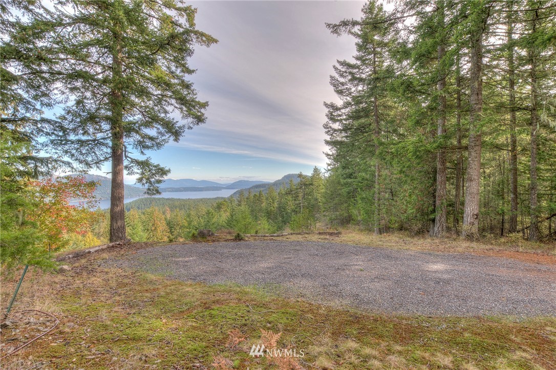 811 Spring Hill Road Orcas Island, WA 98245 - Photo 5 of 20 Gallery Image 5