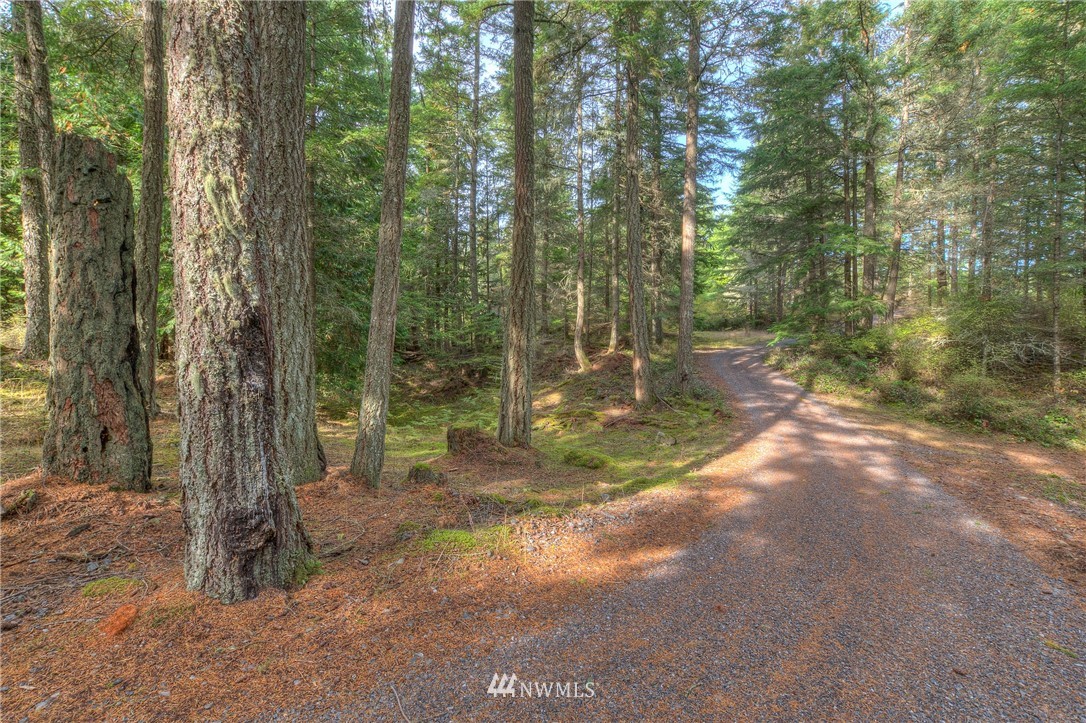 811 Spring Hill Road Orcas Island, WA 98245 - Photo 6 of 20 Gallery Image 6