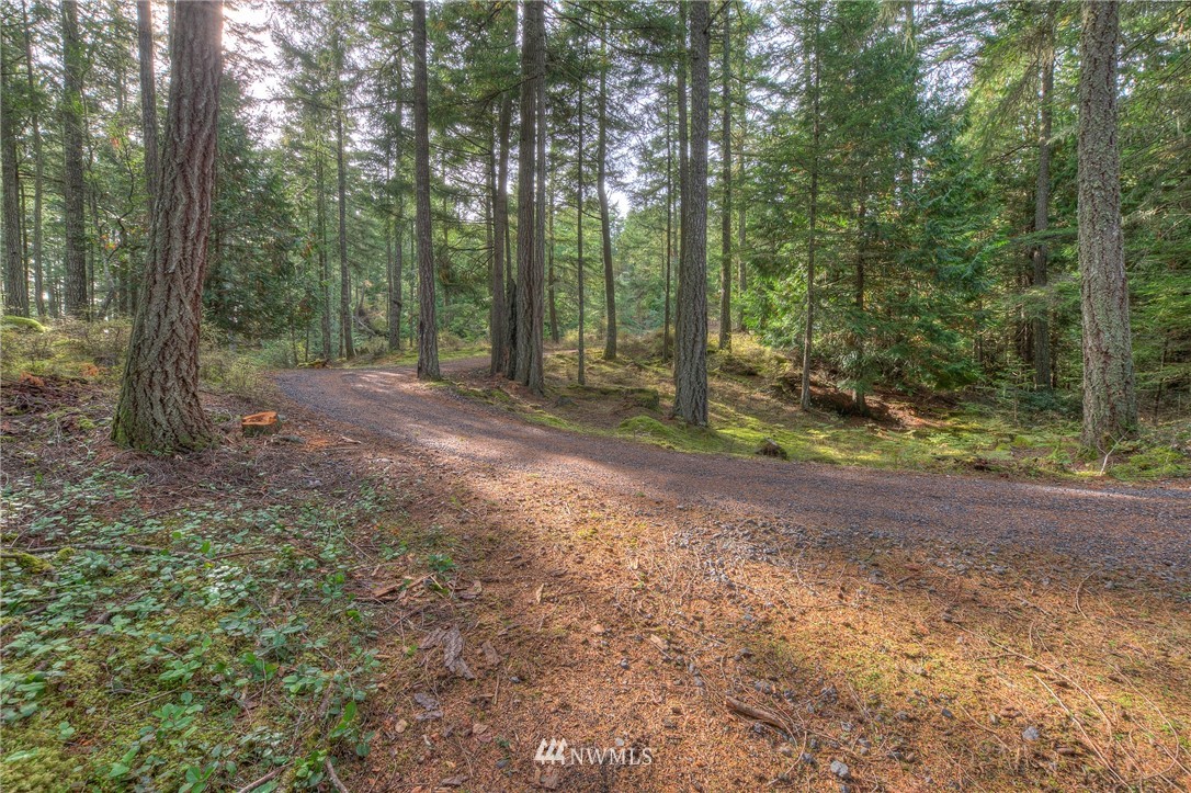 811 Spring Hill Road Orcas Island, WA 98245 - Photo 7 of 20 Gallery Image 7
