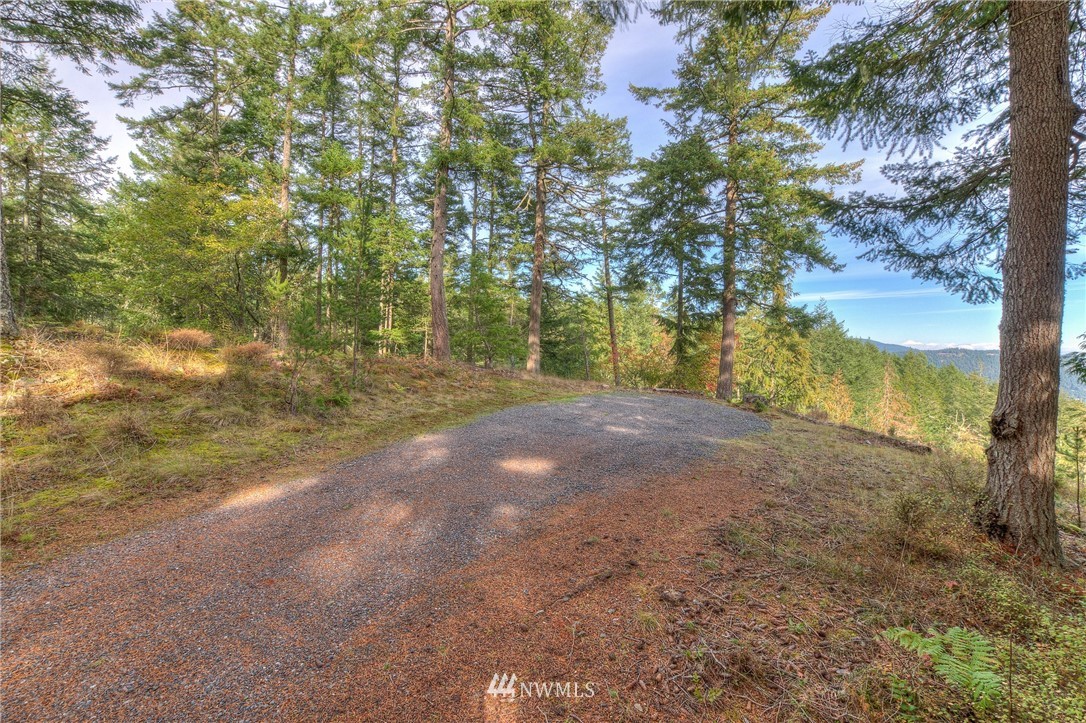 811 Spring Hill Road Orcas Island, WA 98245 - Photo 8 of 20 Gallery Image 8