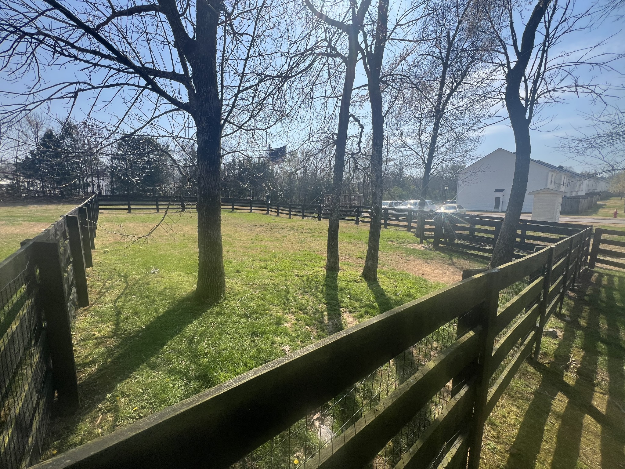 1019 Briggs Lane Spring Hill, TN 37174 - Photo 4 of 20 a view of swimming pool from a balcony
